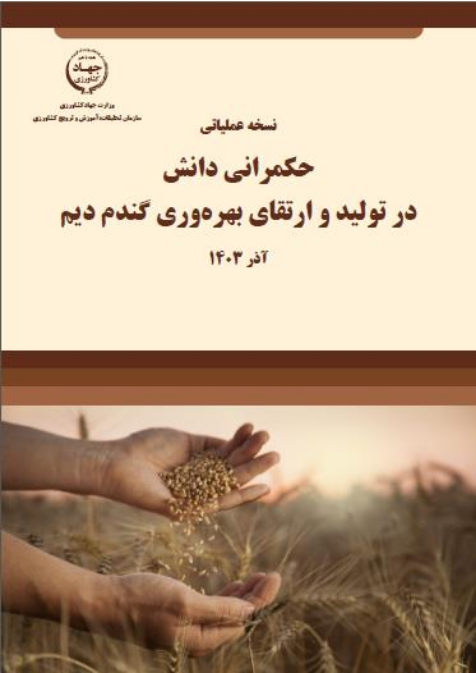 حکمرانی دانش در تولید و ارتقای بهره وری گندم دیم