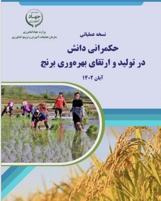 حکمرانی دانش در تولید و ارتقاء بهره‌وری برنج