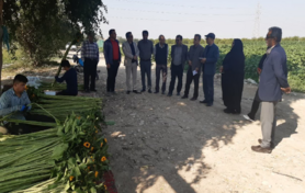 بازدید گروه کارشناسی الگوی کشت ملی از استان بوشهر
