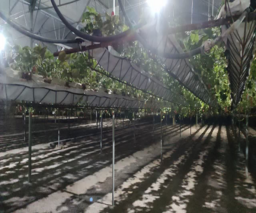 بازدید گروه کارشناسی الگوی کشت ملی از استان مرکزی