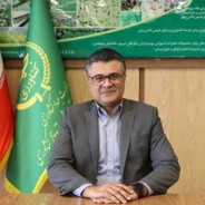 علیرضا نیکویی